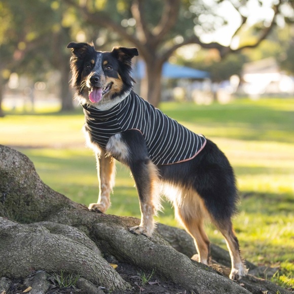Long dog clothing Dog The Sedona Sweater For Dogs Furry Kids Poshmark